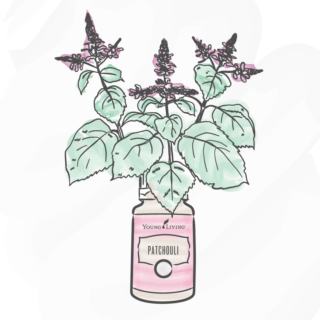 Young Living Patchouli mezclado en aceite portador para aplicación tópica diluida y segura