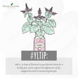 Young Living Patchouli en difusor creando ambiente tranquilo y aroma envolvente