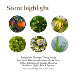 Young Living etiqueta Peace & Calming II en primer plano, lectura de ingredientes clara