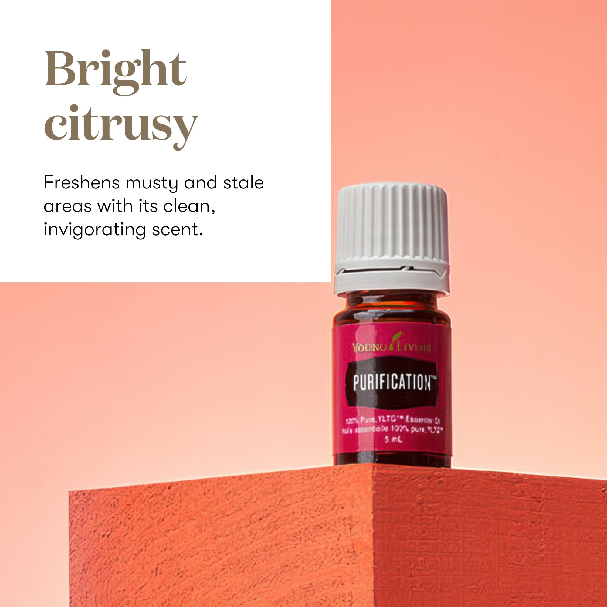 Young Living gotas del aceite Purification que muestran textura y pureza, útil para mezcla
