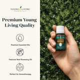 Young Living romero en difusor creando ambiente fresco y concentración