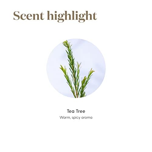 Young Living difusor liberando Tea Tree, aroma fresco para el hogar