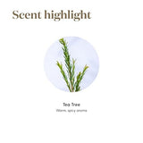 Young Living difusor liberando Tea Tree, aroma fresco para el hogar