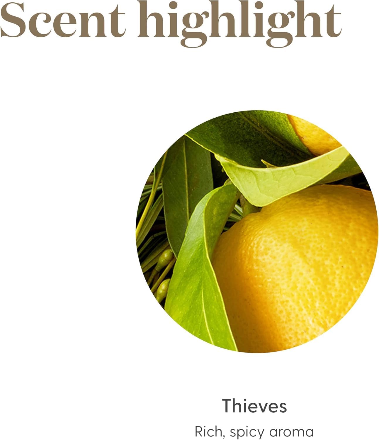 Young Living frascos junto a regla para comparar tamaño y capacidad