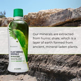 Youngevity uso en batido diario para añadir minerales de forma práctica
