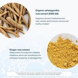 Comparación de escala de Youtheory Ashwagandha al lado de objetos comunes