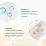 Youtheory etiqueta nutricional legible con información clave