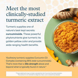 Youtheory etiqueta de ingredientes resaltando curcuminoides y BioPerine