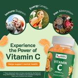 YUM-V'S etiqueta con certificaciones kosher y halal, confianza y pureza
