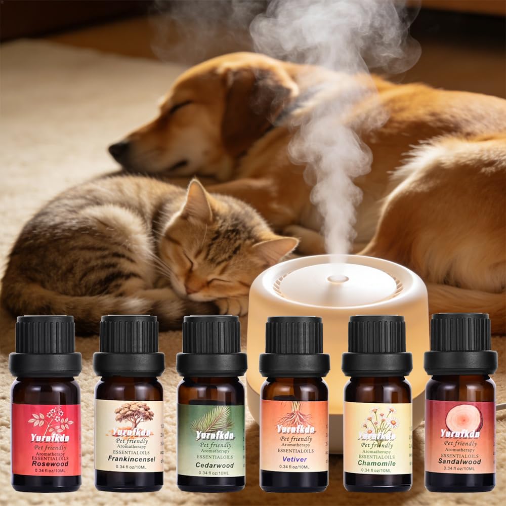Yurnfkdn salón hogareño con difusor creando ambiente calmado