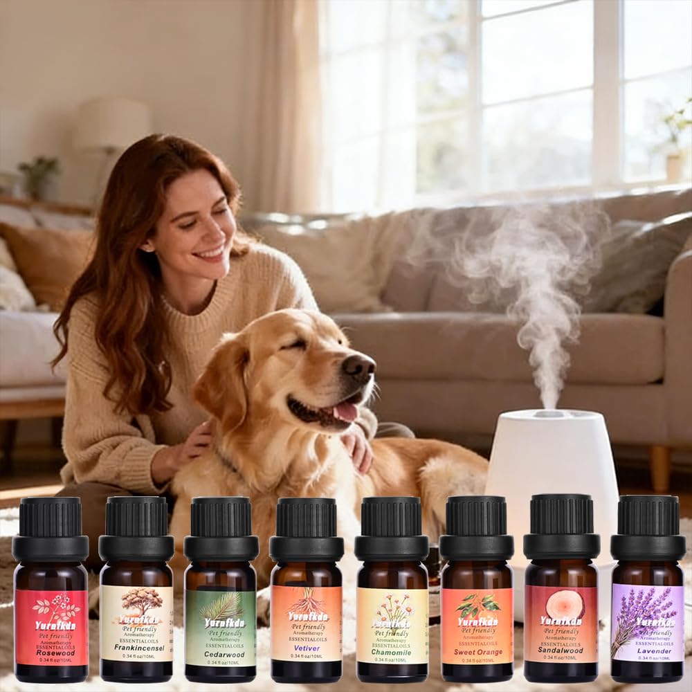 Yurnfkdn caja regalo estilizada ideal para obsequiar a amantes de mascotas