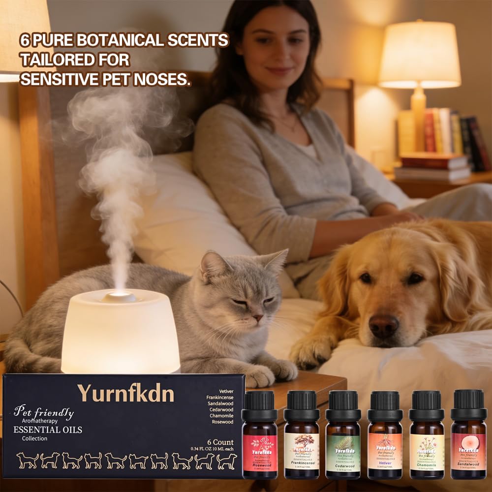 Yurnfkdn seis frascos alineados mostrando variedad y mezclas posibles