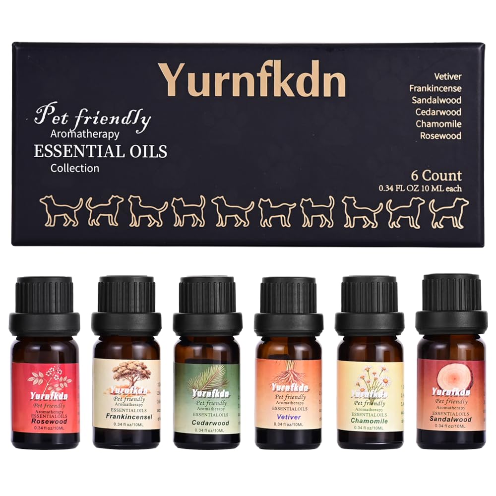 Yurnfkdn caja frontal del set y diseño elegante que inspira confianza