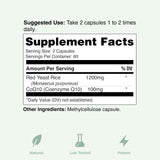 Yuve complementos junto a rutina matinal para uso práctico diario