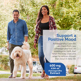 Zahler textura de polvo de raíz KSM-66 para apreciar pureza y origen orgánico