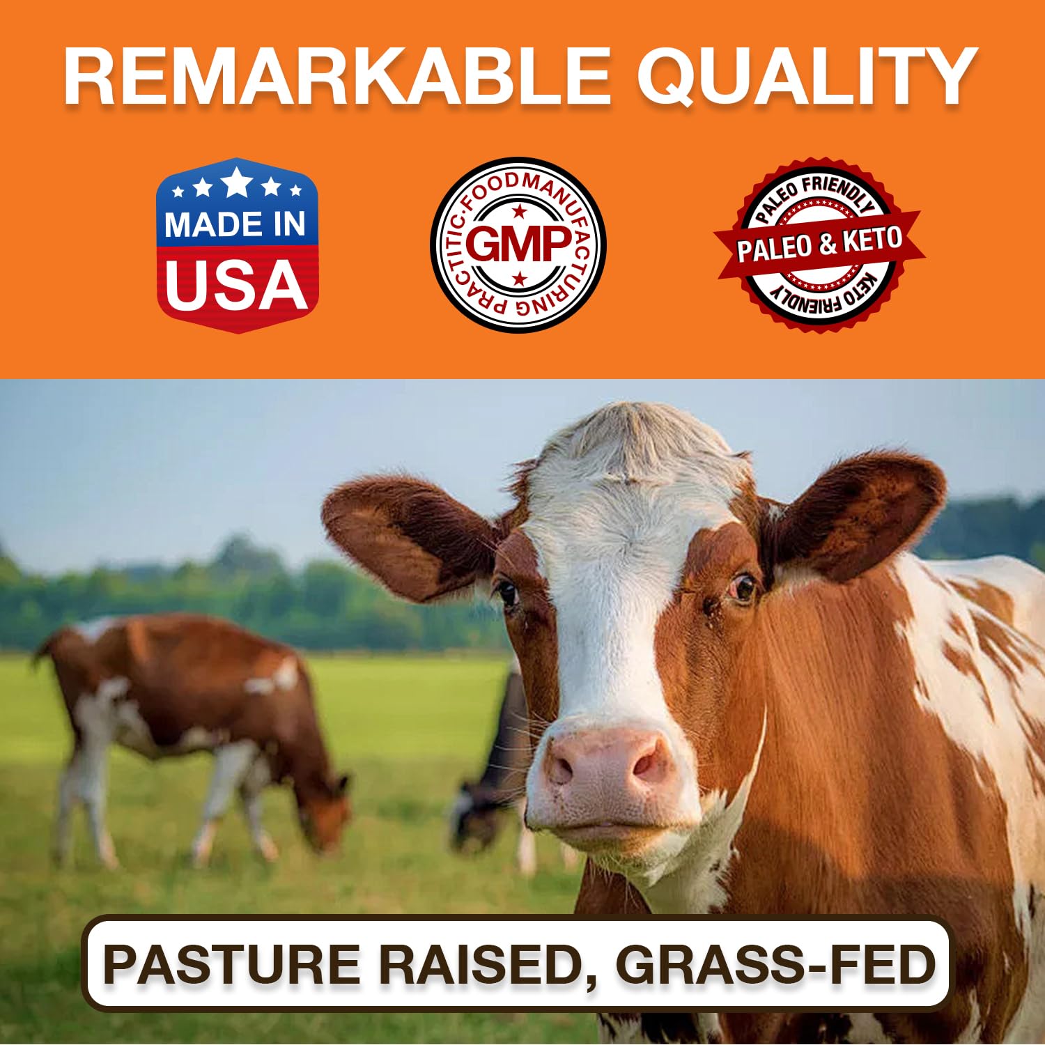 huesos de vacuno grass fed, origen Zammex y trazabilidad visible
