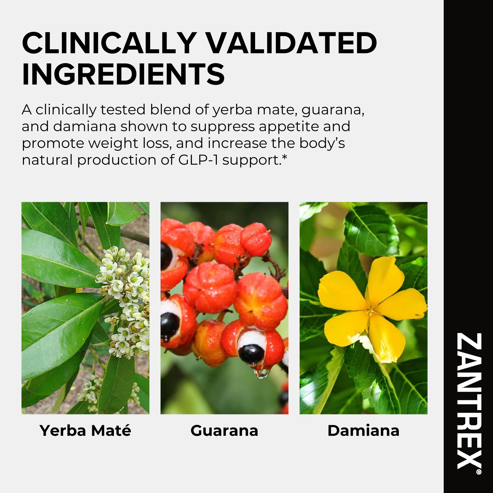 Zantrex Black ingredientes porción visualiza apoyo metabólico