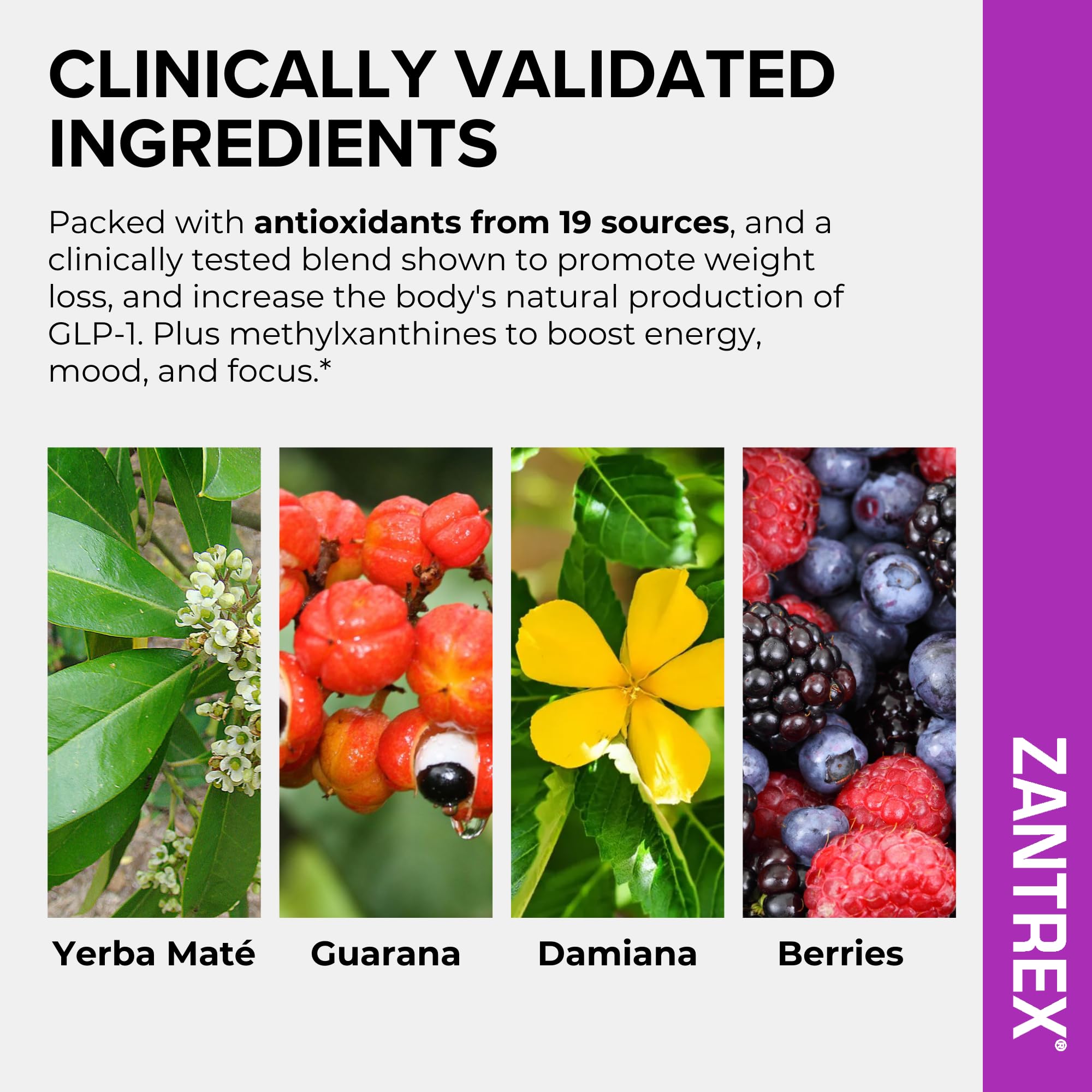 Zantrex SkinnyStix en uso durante entrenamiento, impulso energético natural