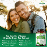 Zazzee cápsula ampliada para apreciar tamaño y recubrimiento vegetal