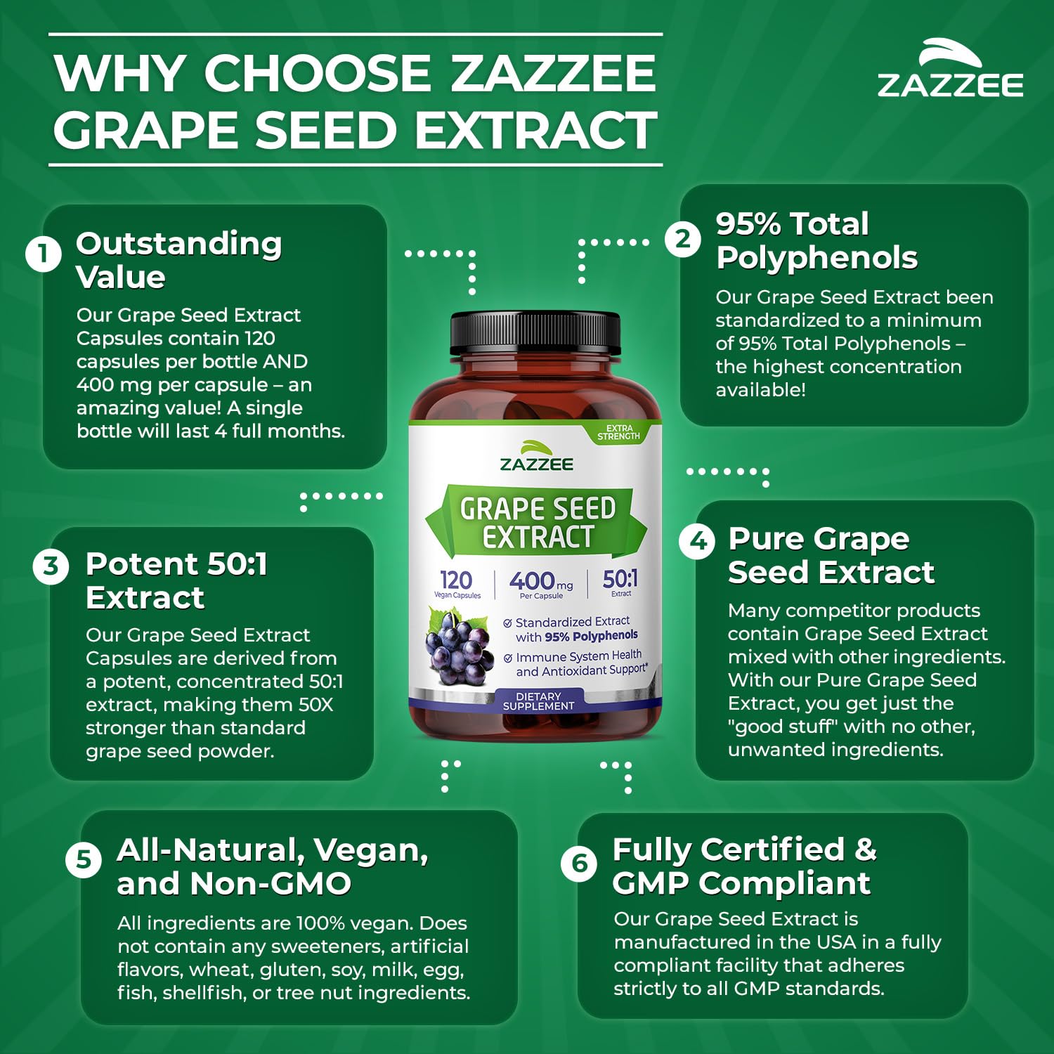 Zazzee comparación de tamaño con moneda para escala visual