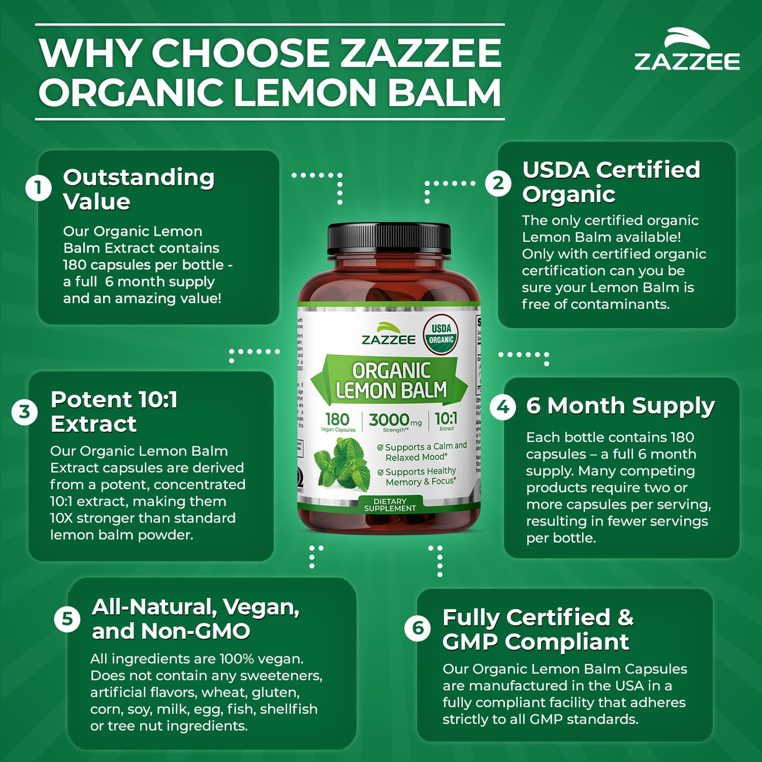 Zazzee comparación de tamaño con moneda, guía de escala