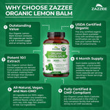 Zazzee comparación de tamaño con moneda, guía de escala