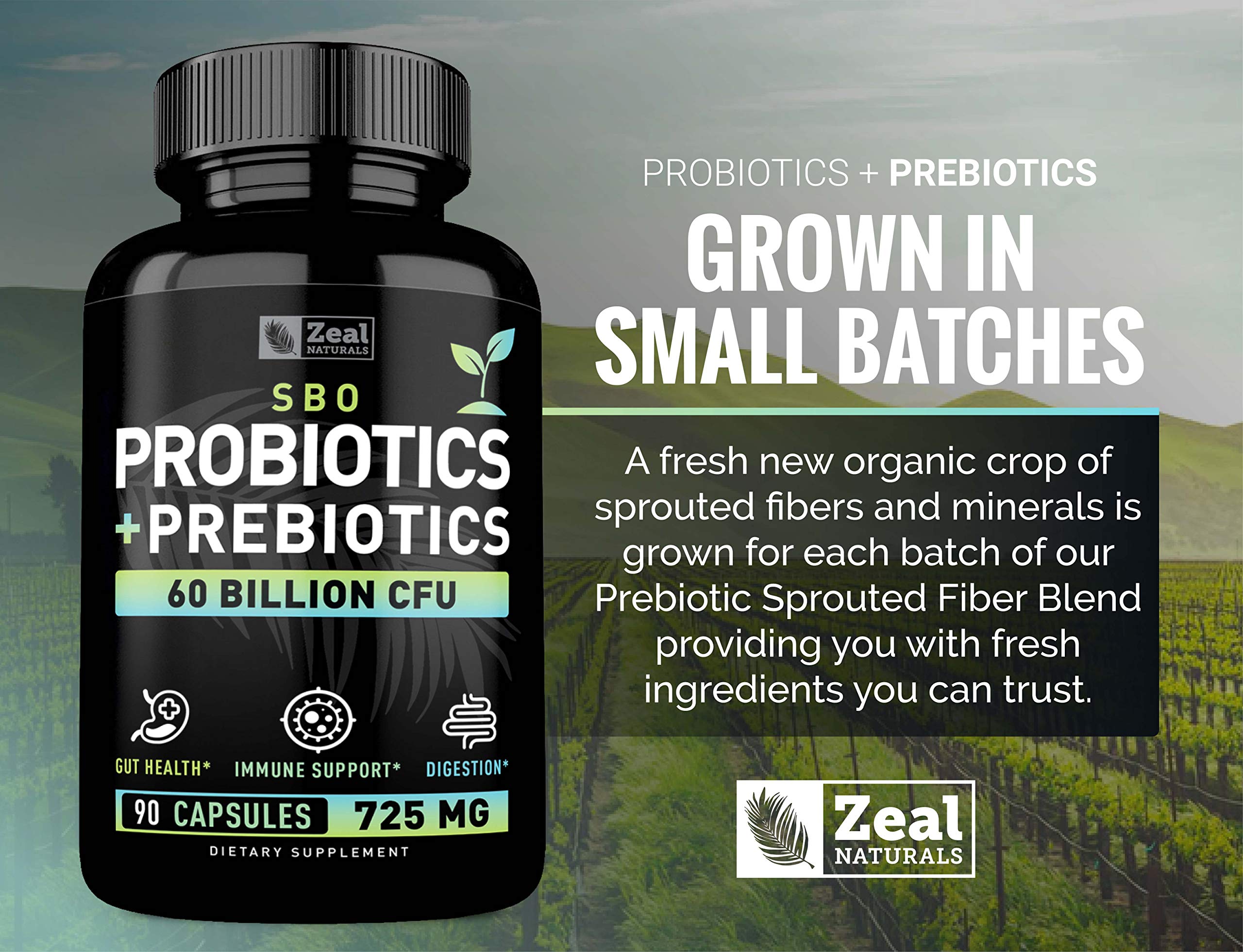 Zeal Naturals cápsulas en taza para comparar tamaño y porción