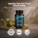 Zeal Naturals cápsula en mano para comparar tamaño y facilidad de toma