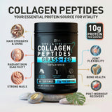 Cucharada con Zeal Naturals 10 g proteína por ración visible
