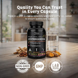 Zeal Naturals suplemento junto a equipo deportivo para apoyar recuperación