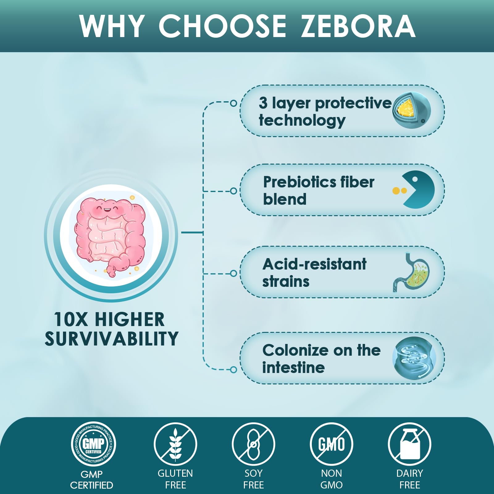 ZEBORA etiqueta de ingredientes legible que destaca 10 cepas y prebiótico