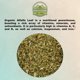 ZeeHERBS comparación de escala con cucharada para medir porciones y conservar dosis
