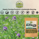 ZeeHERBS etiqueta con sello USDA Organic resaltando procedencia certificada y confianza