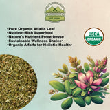 ZeeHERBS detalle de hojas de alfalfa cortadas resaltando textura y facilidad de infusión