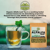 ZeeHERBS hojas de alfalfa infusionándose en una taza para una bebida refrescante
