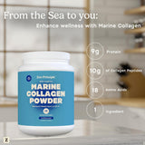 Zen Principle envase 1.5 lb junto a objetos para escala y conveniencia