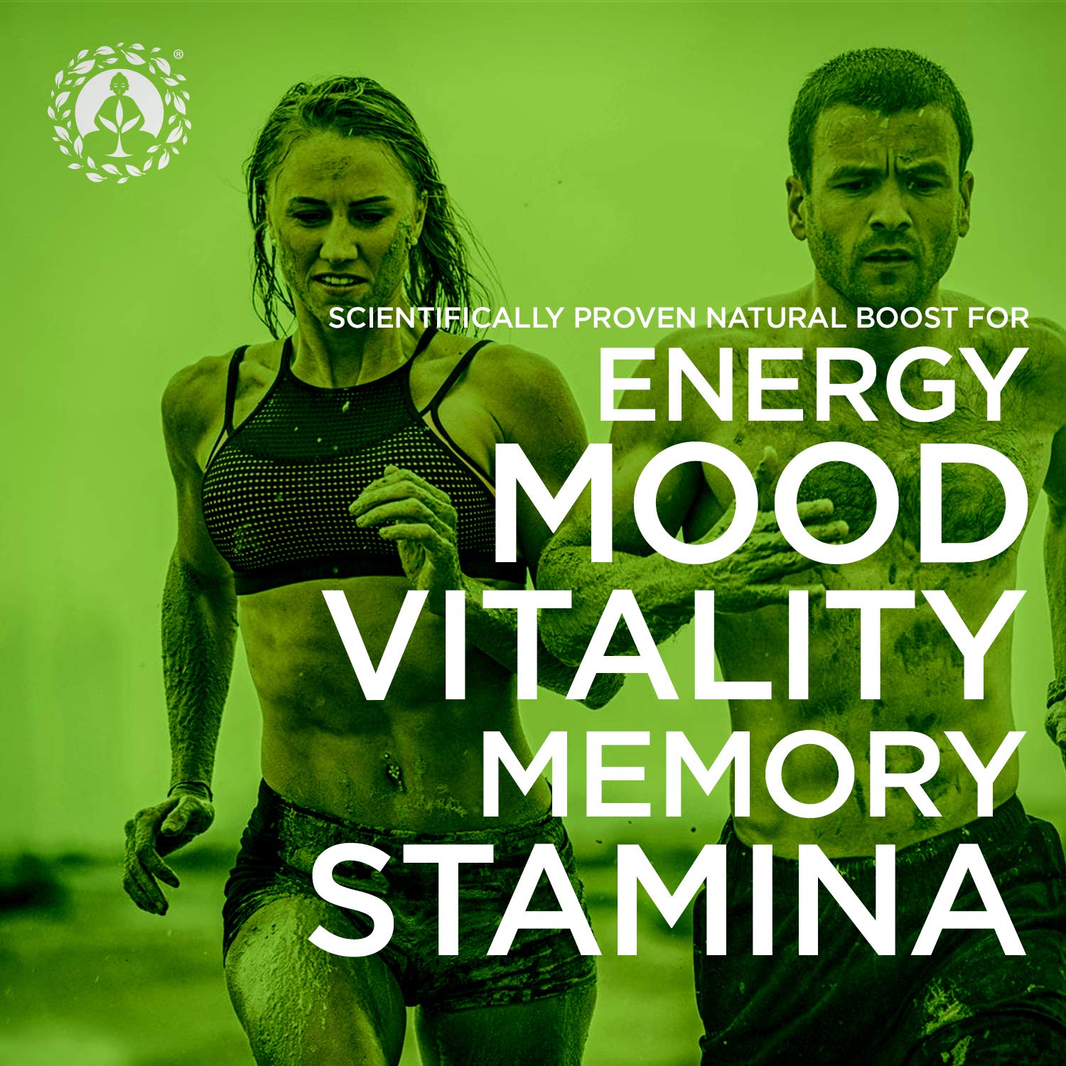 Zen Spirit maca mezclada en smoothie para energía vegetal diaria