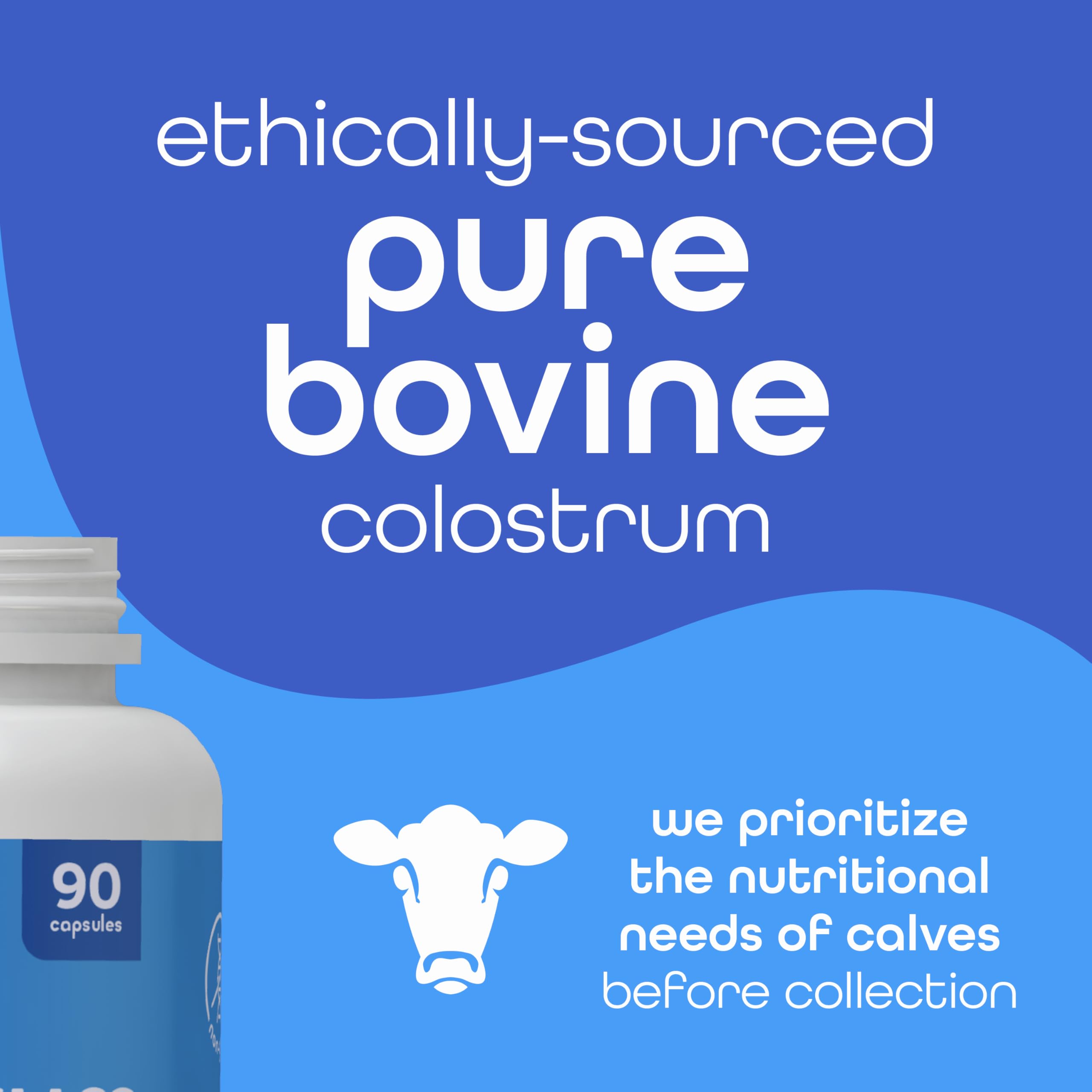 Cucharita con polvo de colostro Zena Nutrition alternativa sin mezclas ni aditivos