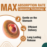Cápsula ZenixZephir abierta mostrando textura liposomal y mejor absorción