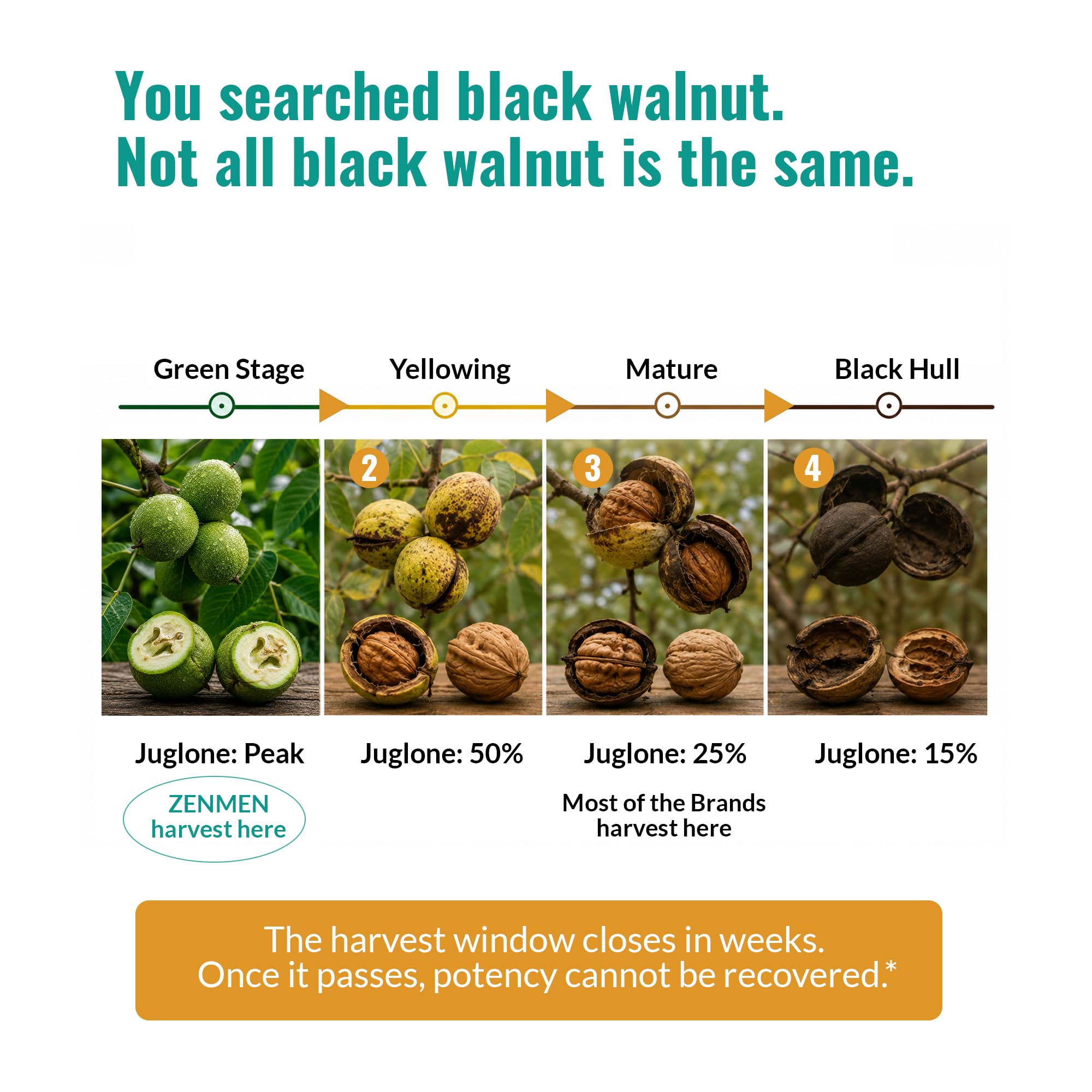 Zenmen etiqueta detallada con ingredientes orgánicos y dosificación visible