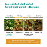 Zenmen etiqueta detallada con ingredientes orgánicos y dosificación visible