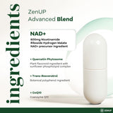 ZenUP cápsula junto a moneda mostrando tamaño y facilidad de ingestión