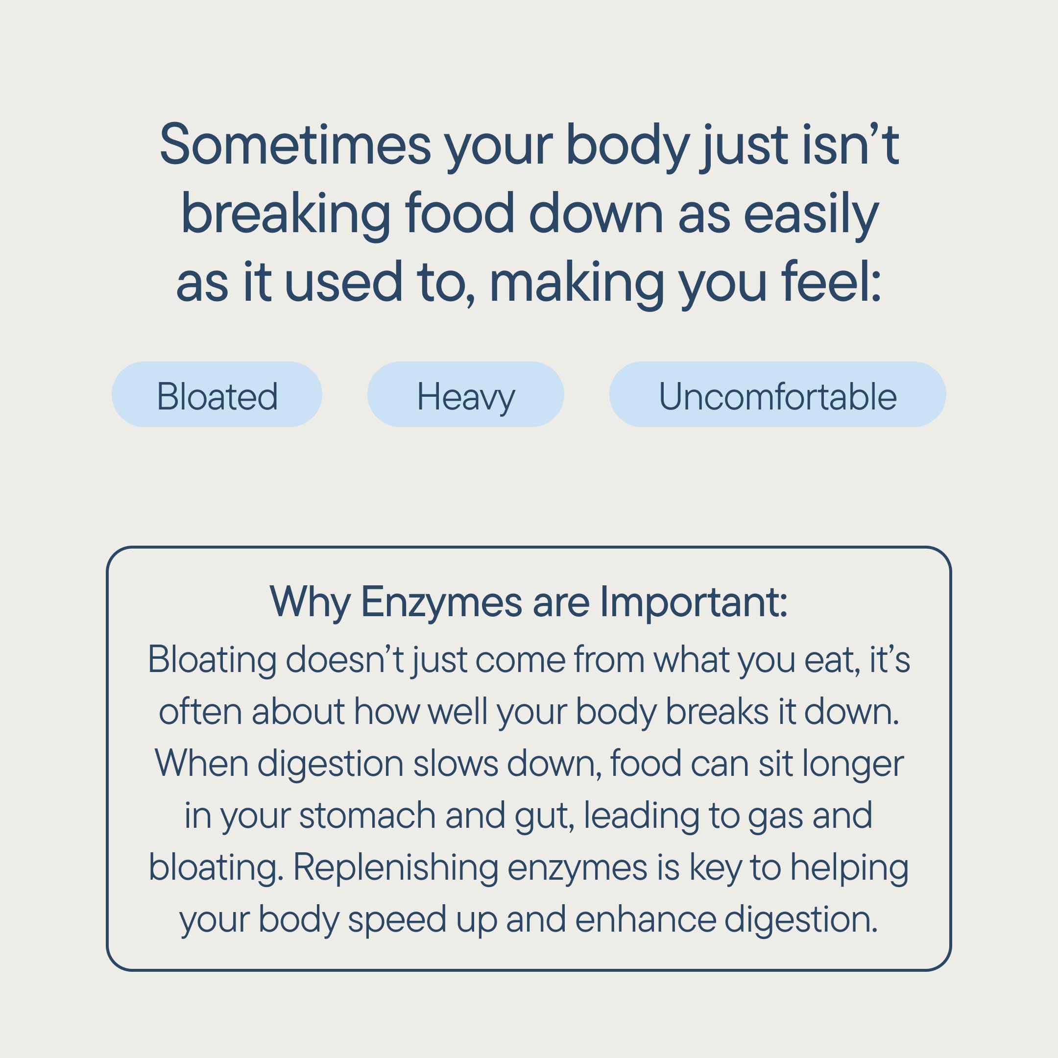 Zenwise Health primer plano de la lista de enzimas para soporte digestivo