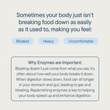 Zenwise Health primer plano de la lista de enzimas para soporte digestivo