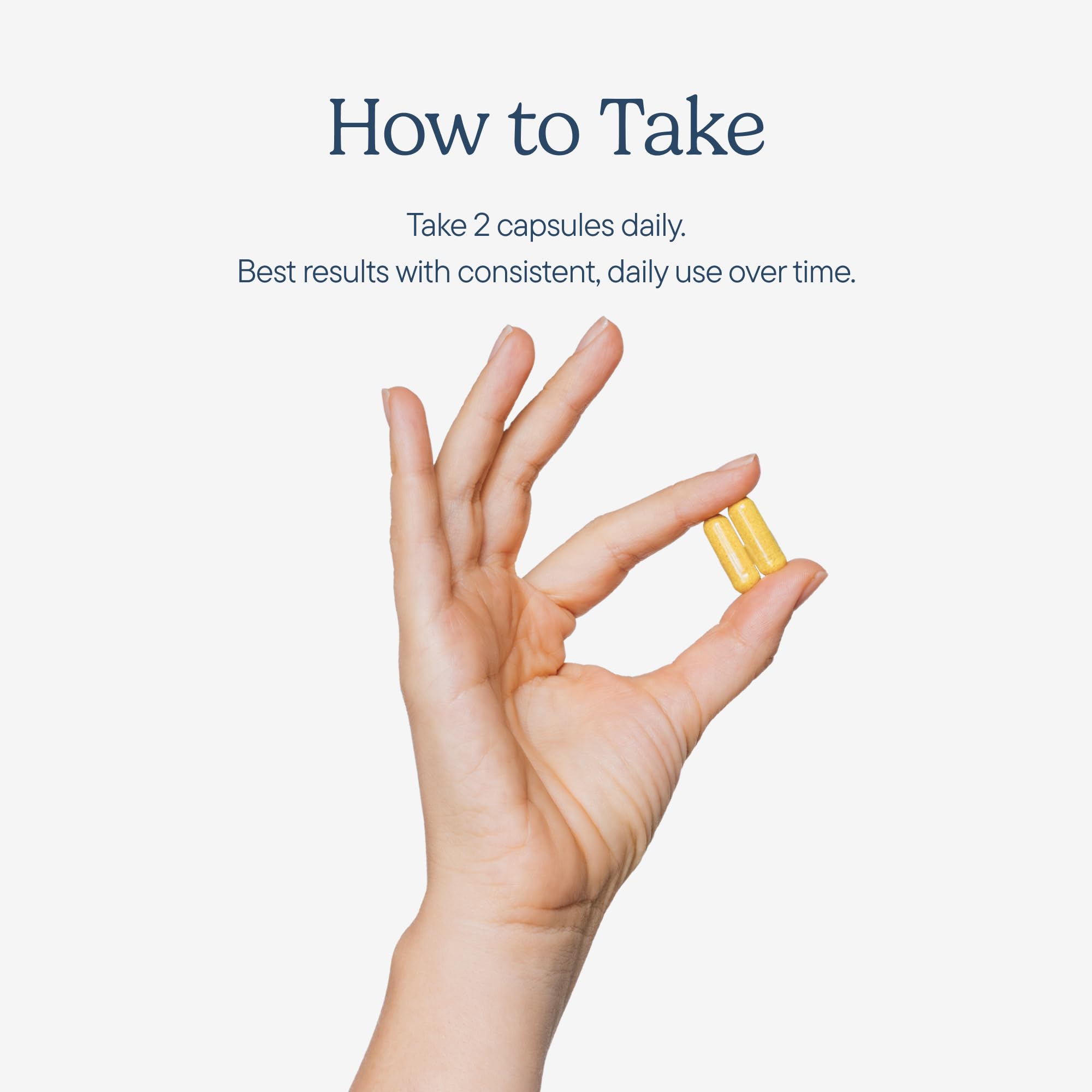 Zenwise Health jengibre, cúrcuma y hinojo ilustrando apoyo botánico a la digestión