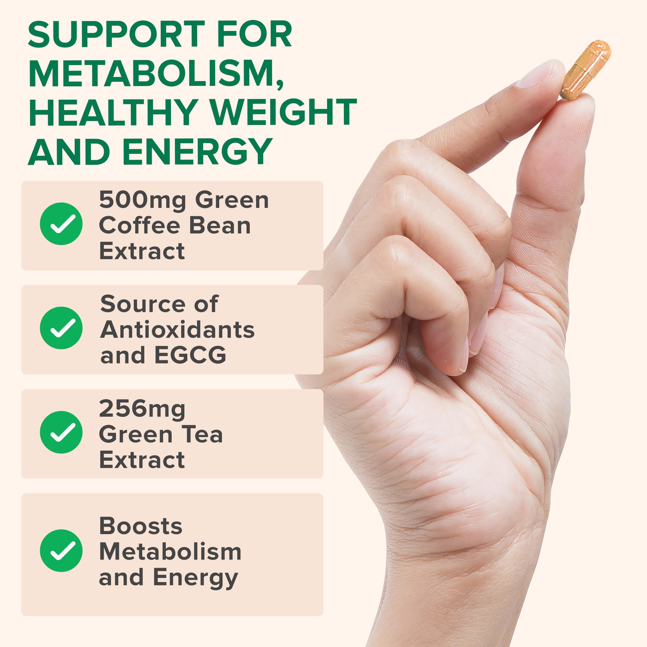Zenwise Health cápsula junto a desayuno saludable, apoyo al metabolismo diario