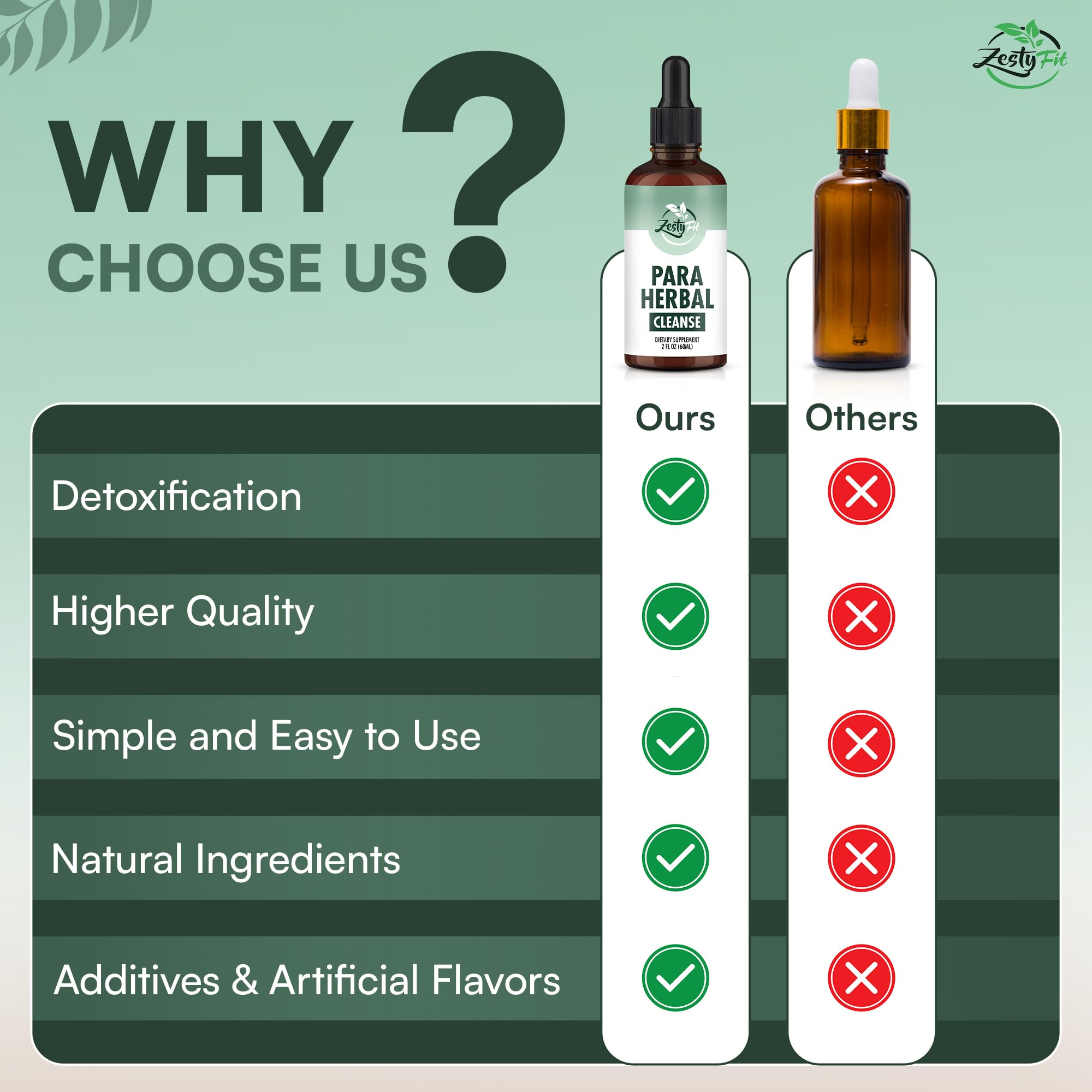 zestyfit ambientacion botanical estilo natural para bienestar digestivo