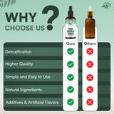 zestyfit ambientacion botanical estilo natural para bienestar digestivo