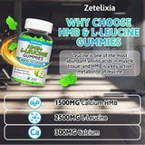 Zetelixia gomita en mano para comparar tamaño, portable y práctica
