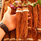 Zhanyunmaoyi ginseng en uso en taza, preparación fácil y aromática